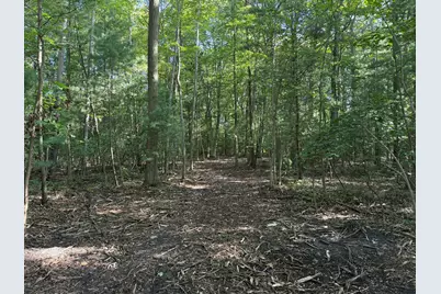 Vl Par B Buchanan, West Olive, MI 49460 - Photo 9