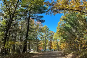 1785 N Schneider Lake Rd, Whitehall, MI 49461 - Photo 41