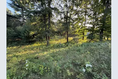 16345 Mitchell Creek Trail, Big Rapids, MI 49307 - Photo 1