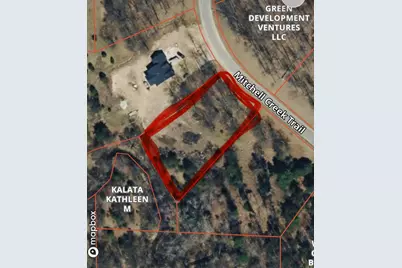 16345 Mitchell Creek Trail, Big Rapids, MI 49307 - Photo 3
