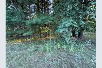 16313 Mitchell Creek Trail, Big Rapids, MI 49307 - Photo 1