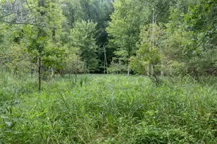 12680 Day Rd, Hudson, MI 49247 - Photo 69