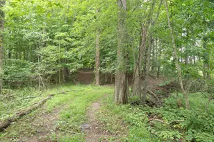 12680 Day Rd, Hudson, MI 49247 - Photo 71