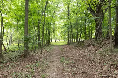 12680 Day Road, Hudson, MI 49247 - Photo 37
