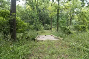 12680 Day Rd, Hudson, MI 49247 - Photo 65