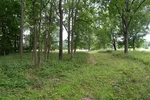 12680 Day Rd, Hudson, MI 49247 - Photo 63