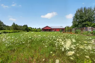 11155 Gates Rd, Cement City, MI 49233 - Photo 85