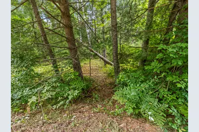 0 Red Barn Drive, Thompsonville, MI 49683 - Photo 9