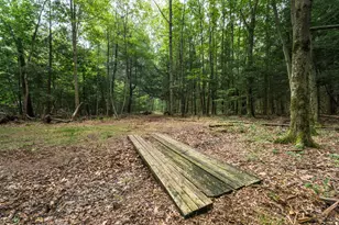 05094 53rd St, Grand Junction, MI 49056 - Photo 29