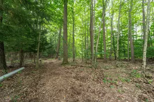 05094 53rd St, Grand Junction, MI 49056 - Photo 25