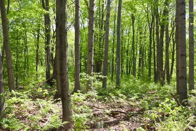00 E Highwood Road, Beaverton, MI 48612 - Photo 13