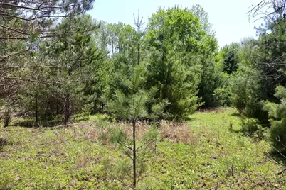 00 E Highwood Road, Beaverton, MI 48612 - Photo 39