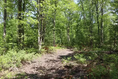 00 E Highwood Road, Beaverton, MI 48612 - Photo 21