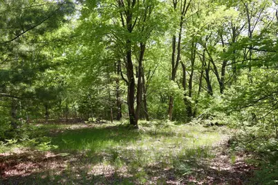 00 E Highwood Road, Beaverton, MI 48612 - Photo 11