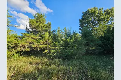 0 V/L Cannes Drive, Brooklyn, MI 49230 - Photo 25