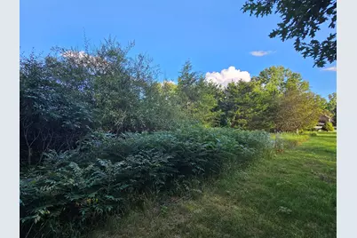 0 V/L Cannes Drive, Brooklyn, MI 49230 - Photo 11