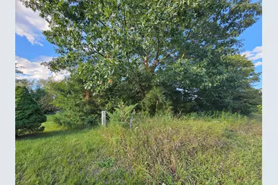 0 V/L Cannes Drive, Brooklyn, MI 49230 - Photo 21