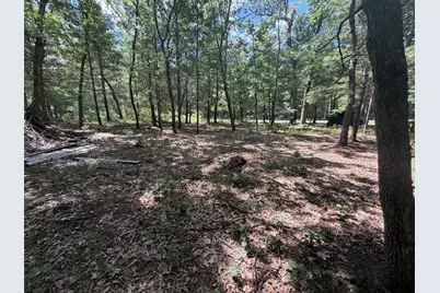 Lot 14/15 S Star Lake Drive #14 & 15, Baldwin, MI 49304 - Photo 5