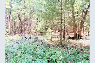 S Skocelas Rd, Manistee, MI 49660 - Photo 57