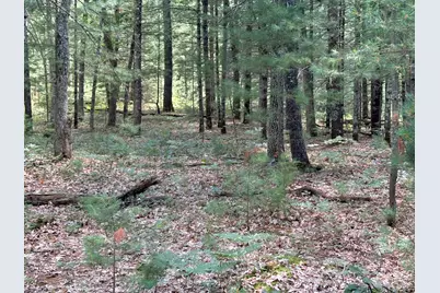 S Skocelas Rd, Manistee, MI 49660 - Photo 55
