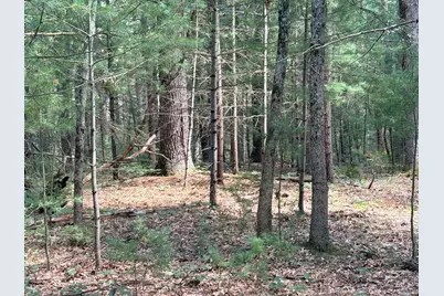 S Skocelas Rd, Manistee, MI 49660 - Photo 41