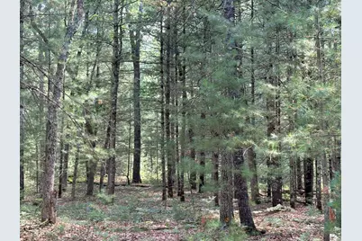 S Skocelas Rd, Manistee, MI 49660 - Photo 61