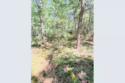 S Skocelas Rd, Manistee, MI 49660 - Photo 49