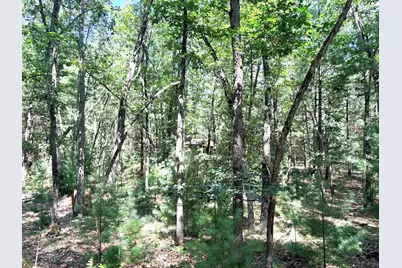 S Skocelas Rd, Manistee, MI 49660 - Photo 47