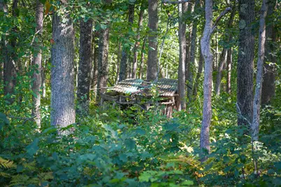 W 10 Mile Road, Irons, MI 49644 - Photo 17