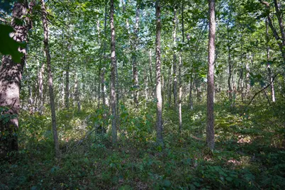 W 10 Mile Road, Irons, MI 49644 - Photo 29