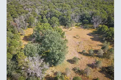 W 10 Mile Road, Irons, MI 49644 - Photo 3