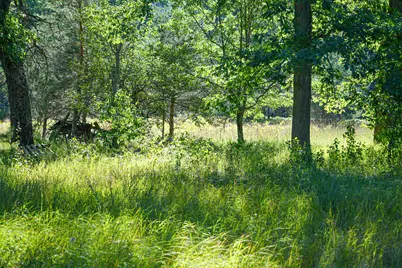 W 10 Mile Road, Irons, MI 49644 - Photo 39