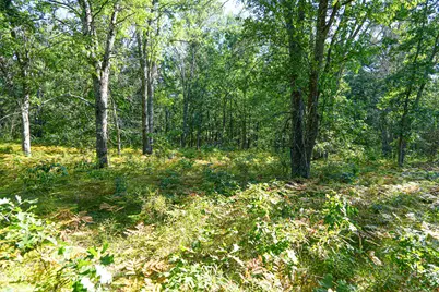 W 10 Mile Road, Irons, MI 49644 - Photo 27