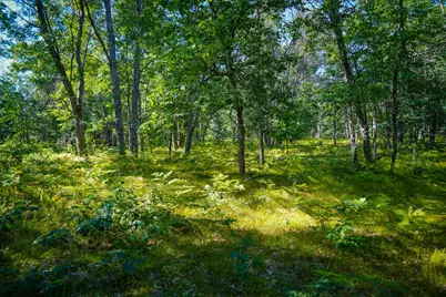 W 10 Mile Road, Irons, MI 49644 - Photo 35