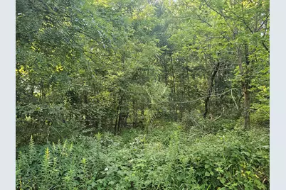 0 V/L Tiffany Street, Brooklyn, MI 49230 - Photo 15