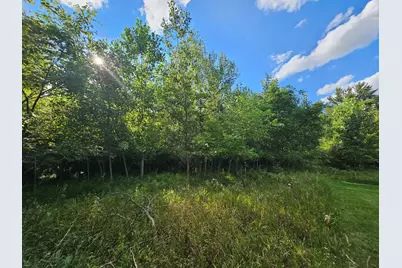0 V/L Tiffany Street, Brooklyn, MI 49230 - Photo 7