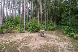 7972 S 192nd Ave, Holton, MI 49425 - Photo 25