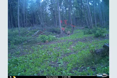 Vl Swenson Road, Holton, MI 49425 - Photo 47