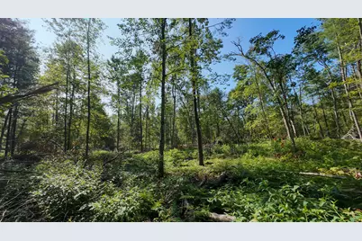 Vl Swenson Road, Holton, MI 49425 - Photo 21