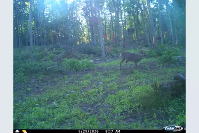 Vl Swenson Road, Holton, MI 49425 - Photo 53