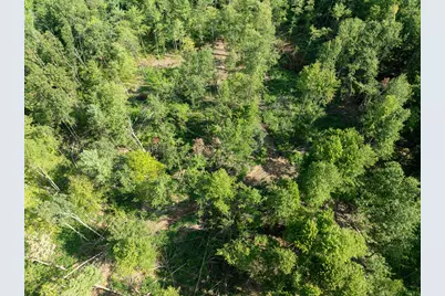 Vl Swenson Road, Holton, MI 49425 - Photo 37