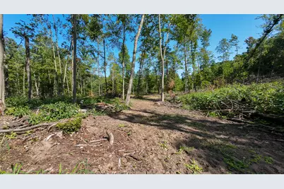 Vl Swenson Road, Holton, MI 49425 - Photo 27
