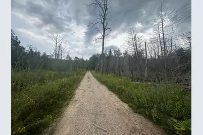 V/L E20A Lambdin Road, East Jordan, MI 49727 - Photo 13