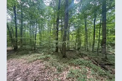 V/L E20A Lambdin Road, East Jordan, MI 49727 - Photo 27