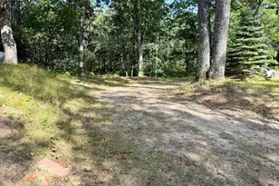 10619 N River Dr Ranch, Irons, MI 49644 - Photo 43