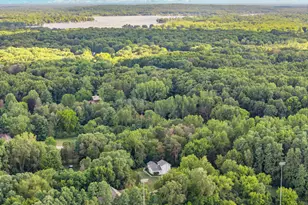 9798 Mcgregor Rd, Pinckney, MI 48169 - Photo 49