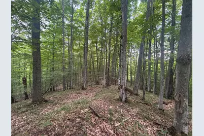 V/L W20A Lambdin Road, East Jordan, MI 49727 - Photo 19