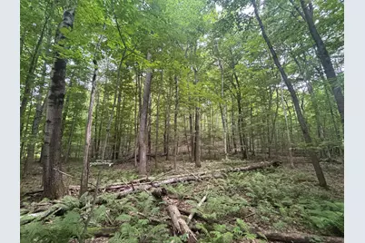 V/L W20A Lambdin Road, East Jordan, MI 49727 - Photo 15