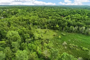 11144 Horton Rd, Holly, MI 48442 - Photo 45