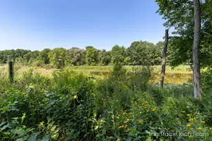 269 N Main St, Rockford, MI 49341 - Photo 63